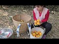 buy tangerines from grandparents to sell to earn extra income phungthithu