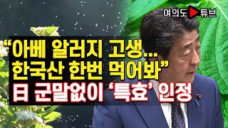 [여의도튜브] “아베 알러지 고생... 한국산 한번 먹어봐” 日 군말없이 ‘특효’ 인정 /머니투데이방송