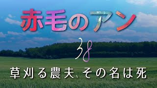 【水曜はメルヘン】赤毛のアン 38/39 草刈る農夫、その名は死 | L.M.モンゴメリ|  読み聞かせ | 作業用BGM  睡眠導入 寝落ち枠