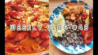 WEEKLY VLOG 43 ｜ 收礼物真开心 ❥ staud新包包开箱 ❥ 健康饮食 ❥ 烤蔬菜和烤鸡翅的做法