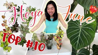 ❤️‍🔥TOP 10 Favourite HOYA of June 2022 | Variegated Hoyas | Care Tips | Small Leaf | Growth Update