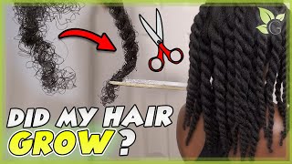 I STOPPED trimming my ends for 8 MONTHS – This is what happened