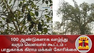 100 ஆண்டுகளாக வாழ்ந்து வரும் வௌவால் கூட்டம் - பாதுகாக்க கிராம மக்கள் கோரிக்கை