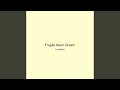 Fragile Neon Dream