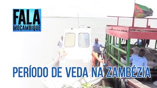 Na Zambézia: INAMAR intensifica fiscalização durante o período de veda @PortalFM24