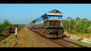 Stunning LHF mode EMD WDP4B powering 15967 Rangiya - Dibrugarh Express (via. New Tinsukia)