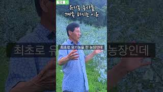 최초 유기농 사과 명인의 유기농 농사를 계속 하시는 이유