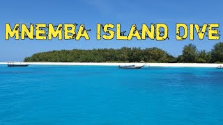 Mnemba Island Dive - Zanzibar 2019