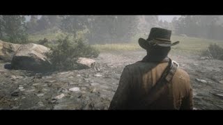 Red Dead Redemption 2 // Arthur Morgan meets agent Milton: Can I turn myself in?