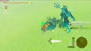 20230716-01 #Zelda Tears of The Kingdom Nintendo Switch 1080p 60fps