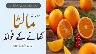 Health Benefits of Citrus Fruits - Malta Khane KeFayde