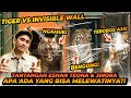 INVISIBLE WALL FOR TIGER CHALLENGE ! HARIMAU TAKUT SAMA PLASTIK ?!