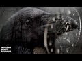 ENSLAVED - Congelia (OFFICIAL MUSIC VIDEO)