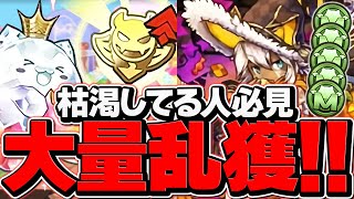 悪魔キラー\u0026モンポを乱獲！+3連ガチャも貰える！ハロウィン上級周回編成！【パズドラ】