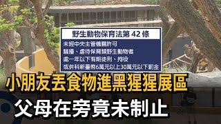 小朋友丟食物進黑猩猩展區　父母在旁竟未制止－民視新聞