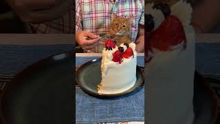 三毛美食家很喜欢吃蛋糕，对分给他一小块很不满，认为铲屎官黑了他的那一份 #三毛 #美食家 #蛋糕  #food #苹果熊的厨房 #funnycats