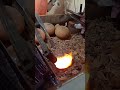 smelting gold 1153 shortvideo shortsfeed shortsviral shorts short shortsvideo golden gold