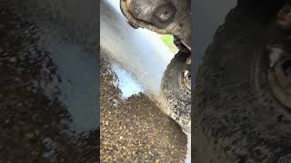 Diesel leak !