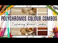 POLYCHROMOS Colour Combinations: Exploring Brown #adultcoloring