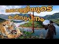 ലക്കവല്ലിയിലെ നരഭോജി | Man-Eater Hunt |real hunting Story|Malayalam| Tiger Attack |