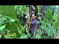 The girl went into the forest to pick vegetables to supplement her meals.