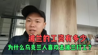 欧洲波兰的基本工资有多少，为什么乌克兰年轻人喜欢去波兰打工？