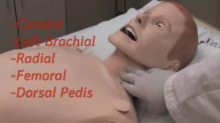 Parry Center SimMan 3G Orientation