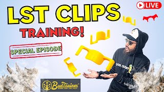 🔴 LST CLIPS?! ...do they work?! w/ Budtrainer | Talkin Loud Podcast Ep72