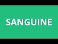 How To Pronounce Sanguine - Pronunciation Academy