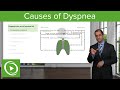 Causes of Dyspnea – Pulmonary Pathology | Lecturio