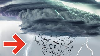 Craziest Natural Phenomena That Will Sweep You Off Your Feet