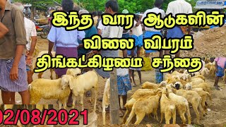 2/08/2021 திங்கள் சந்தை இந்த வாரம் ஆடுகளின் விலை விபரம்