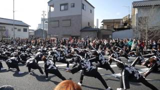 17 笑゛ 公園線　南会場 バサラカーニバル2016