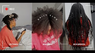 WASH DAY ROUTINE| Natural Hair | Product REVIEW | Box Braids |