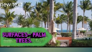 Surfaces palm trees. How to water Palm Tree in Desert.