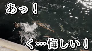 網の中は弱肉強食！？