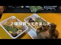 【丸亀製麺お持ち帰り】３種天うどん弁当を食べてみた