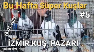 İzmir Kuş Pazarı #5 (26.01.2025) Bu Hafta Süper Kuşlar Vardı.#pigeon #güvercin #keşfet  #kuşpazarı