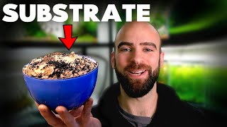 Why You NEED This Substrate | MD Fish Tanks