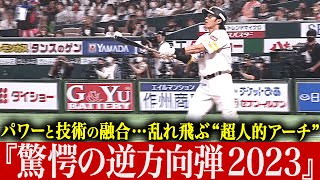 【なんじゃこりゃああ!!】技術とパワーの融合『驚愕の逆方向弾 2023』【超人的アーチ】