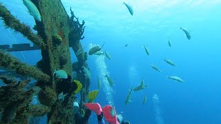 SCUBA Wreck C-53 in COZUMEL, MEXICO