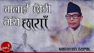 Malai Chhodi Mero Chhaya | Narayan Gopal | Nepali Song