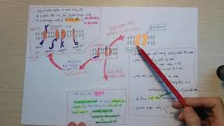 [Ôn tập Sinh học] - Cấu trúc màng tế bào I Membrane structure