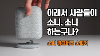 소니다운 다기능 미니 스피커. 소니 링크버즈 스피커