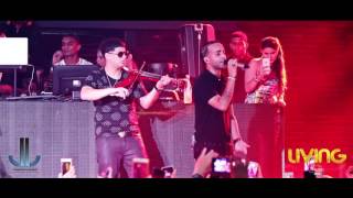 Gata oficial - Arcangel (( en vivo Living night club cali ))