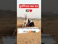 মাশাল্লাহ আমাদের ইসলামের সৌন্দর্য youtubeshorts trendingshorts isamic sad motivation shortsfeed love