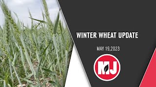 Hard Red Winter Wheat Tour Update | Clay Patton | May 19, 2023