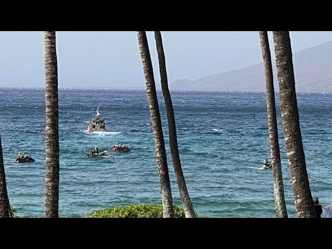 Officials Give Update On Missing Snorkeler, Reported Shark Attack On ...