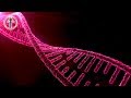 Powerful DNA Healing 594Hz Music To Repair Your DNA and Activate your DNA to Full Potential