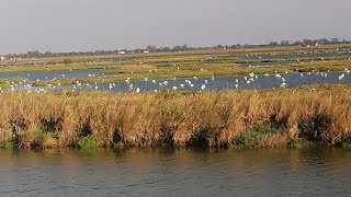 ENTRIAMO NELLE VALLI DI COMACCHIO... 😍